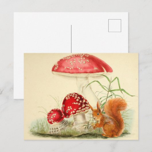  Natuur Illustratie - Eekhoorn, Paddenstoelen Briefkaart (Voorkant / Achterkant)