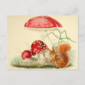  Natuur Illustratie - Eekhoorn, Paddenstoelen Briefkaart (Voorkant)