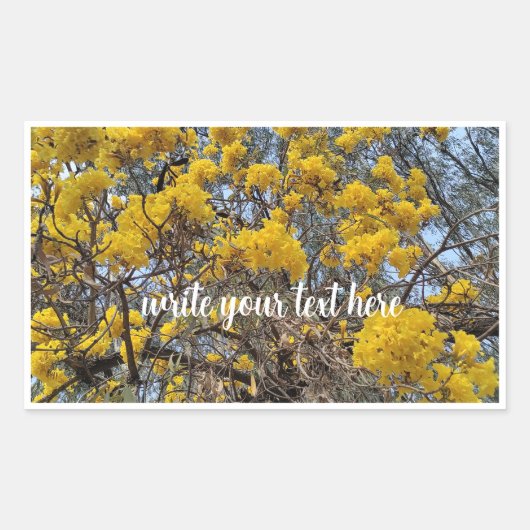 Natuur in bloei rechthoekige sticker (Voorkant)