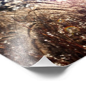 Natuur in de zon foto afdruk (Hoek)