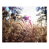 Natuur in de zon foto afdruk (Voorkant)