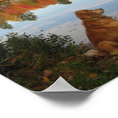 Natuur in het najaar van de goudkoorts met de goud poster (Hoek)