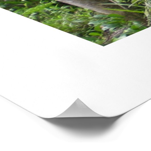 Natuur in het wild houden poster (Hoek)