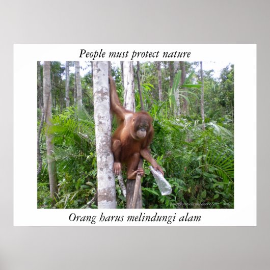 Natuur in het wild houden poster (Voorkant)