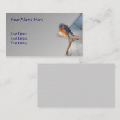 Natuur in het wild levende vogels visitekaartje (Voorkant / Achterkant)