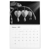 Natuur in hoog contrast kalender (Feb 2027)