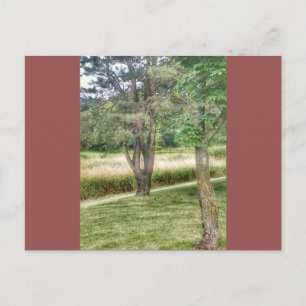 Natuur in schoonheid 2 briefkaart