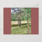 Natuur in schoonheid 2 briefkaart (Voorkant)