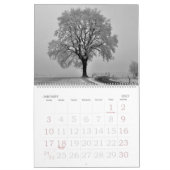 Natuur in zwart-wit 2024 Kalender (Jan 2027)