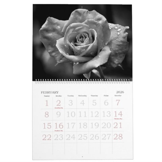 Natuur in zwart-wit 2024 Kalender (Feb 2026)