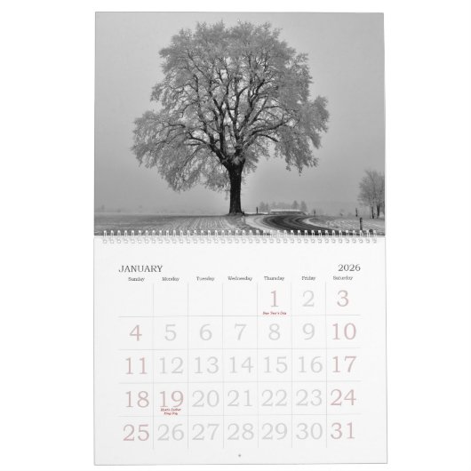 Natuur in zwart-wit 2024 Kalender (Jan 2026)