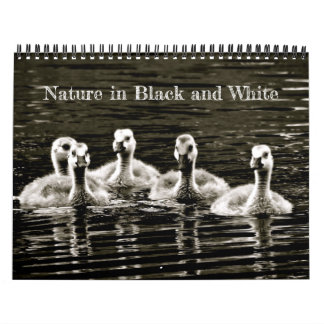 Natuur in zwart-wit kalender