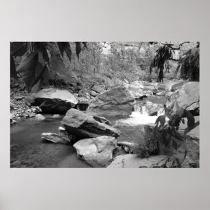 Natuur in zwart-wit poster