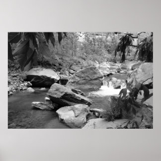 Natuur in zwart-wit poster