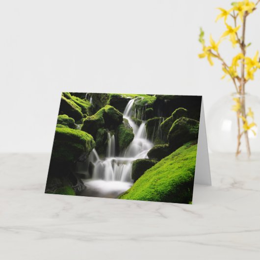 Natuur Inspiratie Waterval in Zuid-Korea Kaart (Gele Bloem)