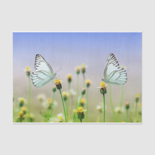 Natuur Inspiratie White Twin Butterflies Tissuepapier (Voorkant)