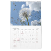 Natuur inspiratiefoto kalender (Feb 2027)