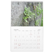 Natuur inspiratiefoto kalender (Jan 2026)