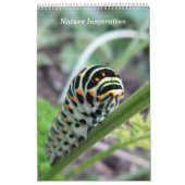 Natuur inspiratiefoto kalender (Hoes)