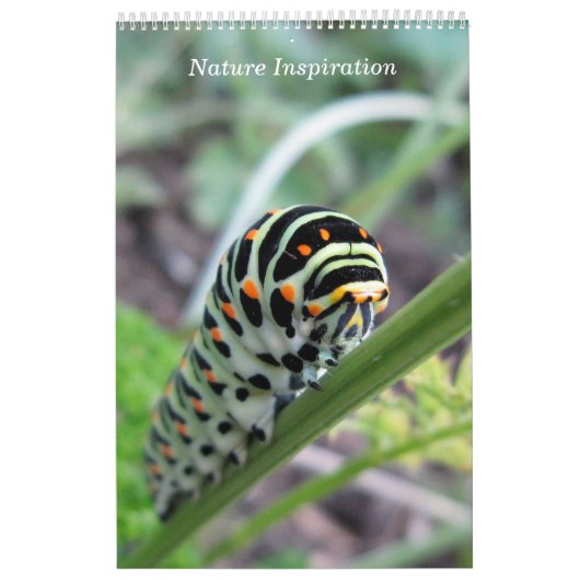 Natuur inspiratiefoto kalender (Hoes)