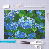 Natuur-inspiraties Bright Blauw vergeet me Nots Tissuepapier (Craft)