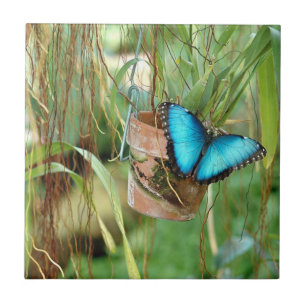 Natuur-inspiraties Bright Blauwe Butterfly Tegeltje