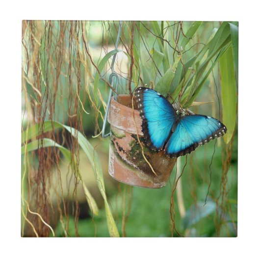 Natuur-inspiraties Bright Blauwe Butterfly Tegeltje (Voorkant)