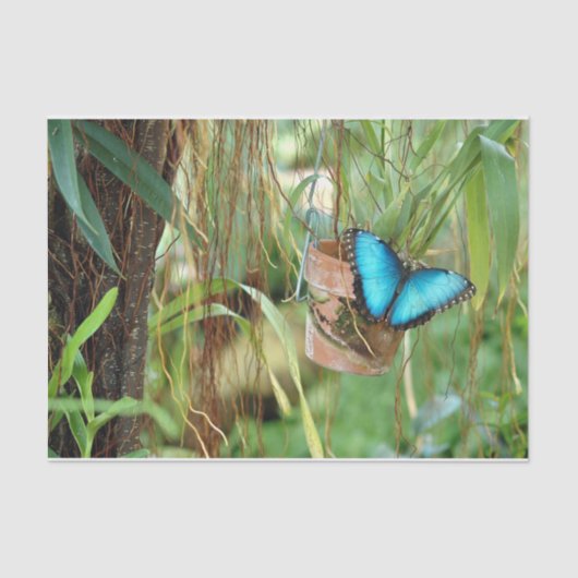 Natuur-inspiraties Bright Blauwe Butterfly Tissuepapier (Voorkant)