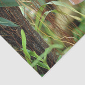 Natuur-inspiraties Bright Blauwe Butterfly Tissuepapier (Detail)