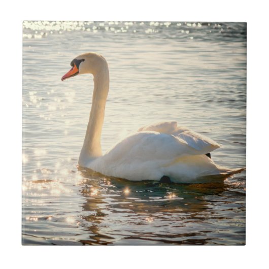 Natuur Inspiraties Elegant Swan Tegeltje (Voorkant)