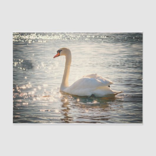 Natuur Inspiraties Elegant Swan Tissuepapier (Voorkant)
