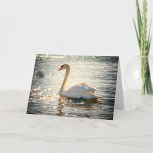 Natuur Inspiraties Elegant Swan Wenskaart Kaart