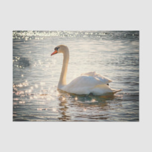 Natuur Inspiraties Elegante Zwaan Tissuepapier