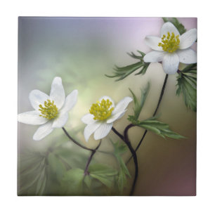 Natuur-inspiraties Fijne Witte bloemen Tegeltje