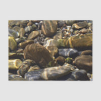 Natuur-inspiraties Sun beams onder water Rocks