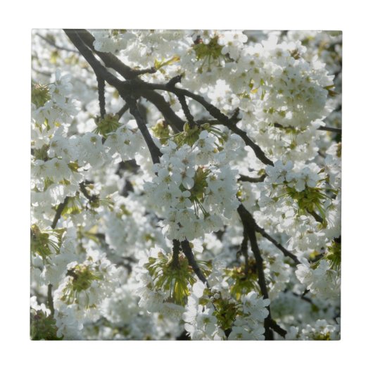 Natuur Inspirations Cherry Blossom Tegeltje (Voorkant)