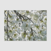 Natuur Inspirations Cherry Blossom Tissuepapier (Voorkant)