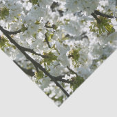 Natuur Inspirations Cherry Blossom Tissuepapier (Detail)