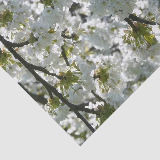 Natuur Inspirations Cherry Blossom Tissuepapier (Detail)