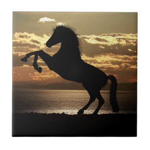 Natuur Inspirations Horse Silhouette Tegeltje