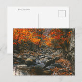 Natuur Inspirations Romania, Autumn Forest Briefkaart (Voorkant / Achterkant)
