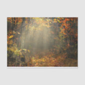 Natuur Inspirations Sun Drenched Forest Tissuepapier (Voorkant)