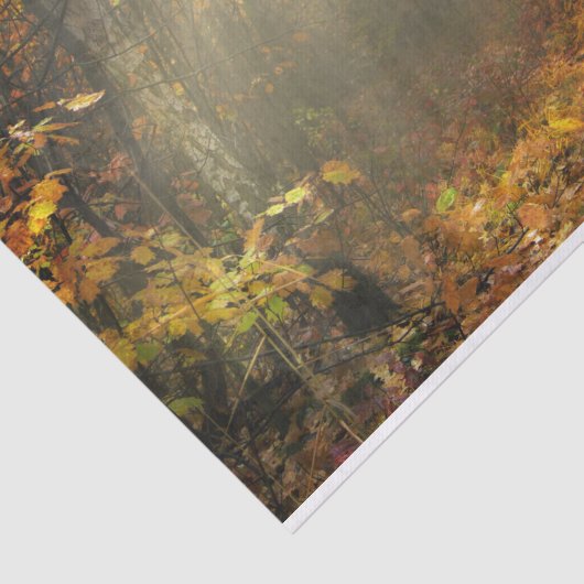 Natuur Inspirations Sun Drenched Forest Tissuepapier (Detail)