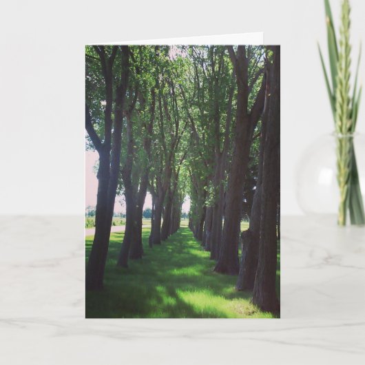 "Natuur is cool" Get Well Kaart (Voorkant)