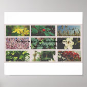 "Natuur is de beste kapitalist die ik ken." Poster (Voorkant)