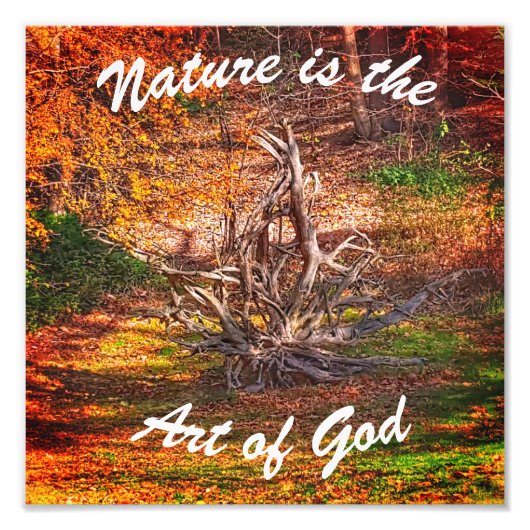 "Natuur is de Kunst van God" Citaat Afdrukken Foto Afdruk (Voorkant)