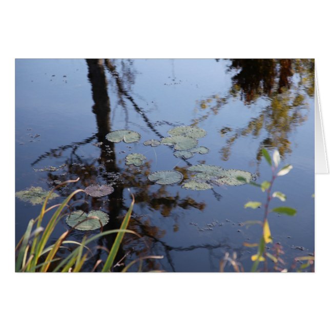 Natuur is een taal... (Voorkant Horizontaal)