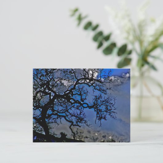 Natuur is ouder briefkaart (Staand voorkant)