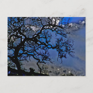 Natuur is ouder briefkaart