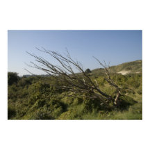 Natuur is soms eenzaam